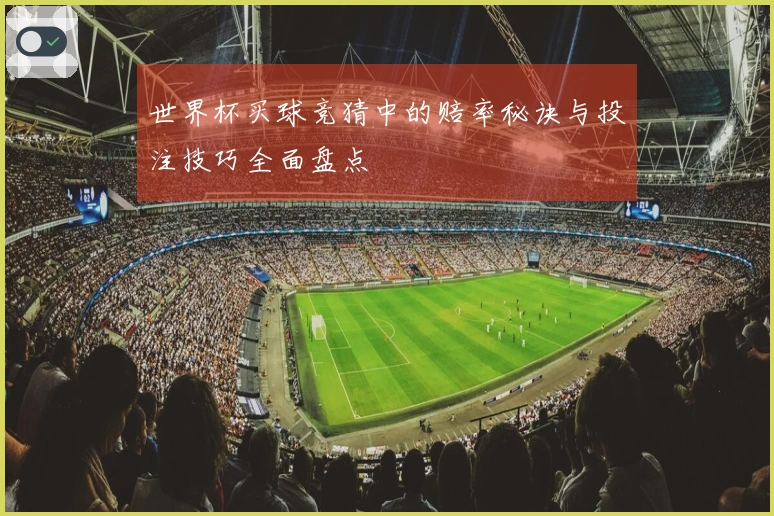 世界杯买球竞猜中的赔率秘诀与投注技巧全面盘点