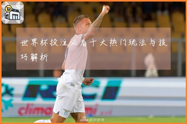 世界杯投注必看十大热门玩法与技巧解析