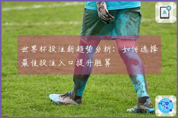 世界杯投注新趋势分析：如何选择最佳投注入口提升胜算