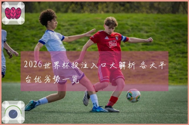 2026世界杯投注入口大解析 各大平台优劣势一览
