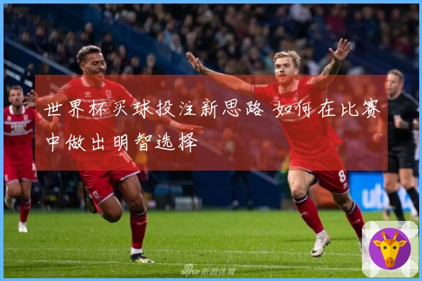 世界杯买球投注新思路 如何在比赛中做出明智选择