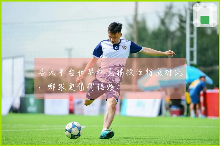 各大平台世界杯竞猜投注特点对比，哪家更值得信赖？