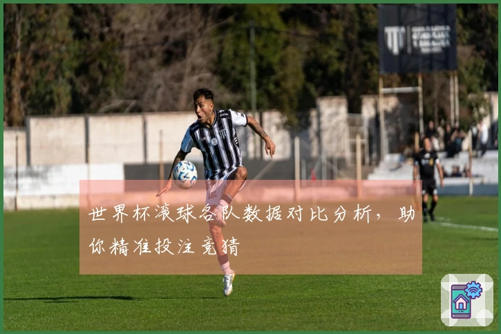 世界杯滚球各队数据对比分析，助你精准投注竞猜