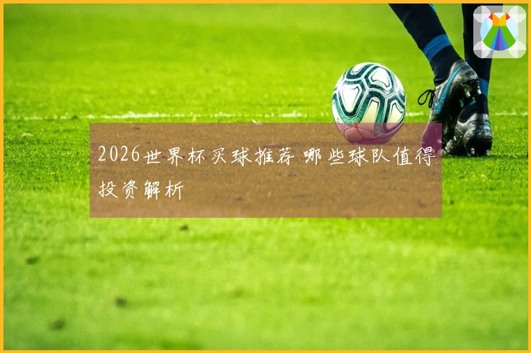 2026世界杯买球推荐 哪些球队值得投资解析