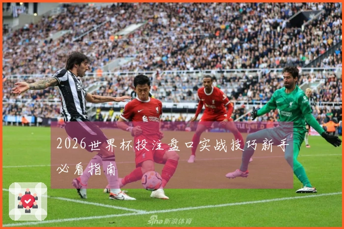 2026世界杯投注盘口实战技巧新手必看指南
