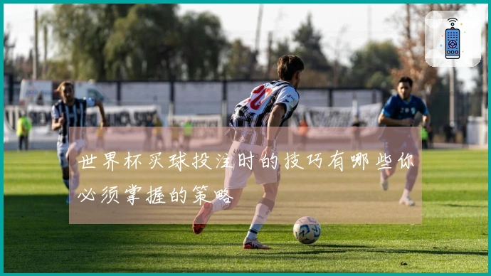 世界杯买球投注时的技巧有哪些你必须掌握的策略