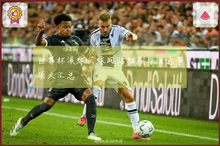 世界杯滚球买球网站推荐与注意事项大汇总