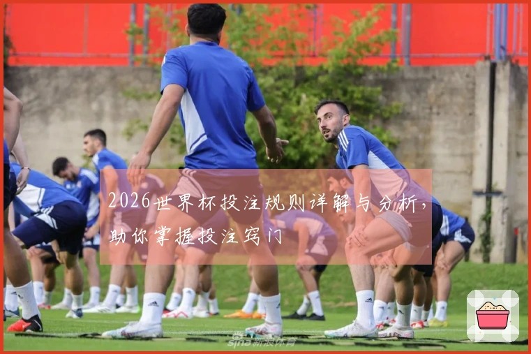 2026世界杯投注规则详解与分析，助你掌握投注窍门